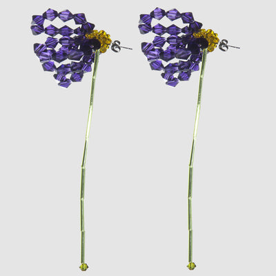 BOUCLES D'OREILLES ASTER CHINENSIS