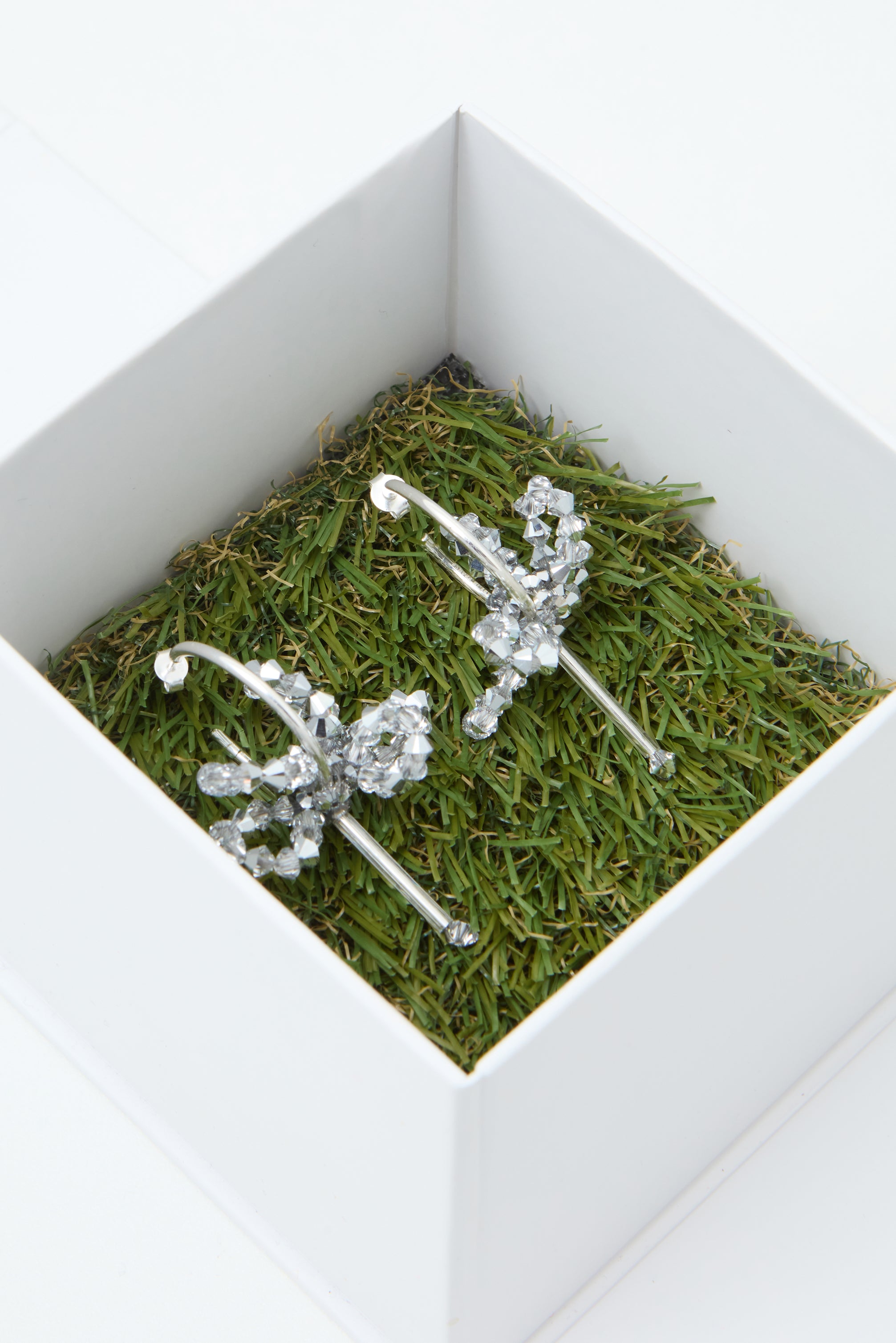 ALABASTRA ARGENTUM LOOP EARRINGS