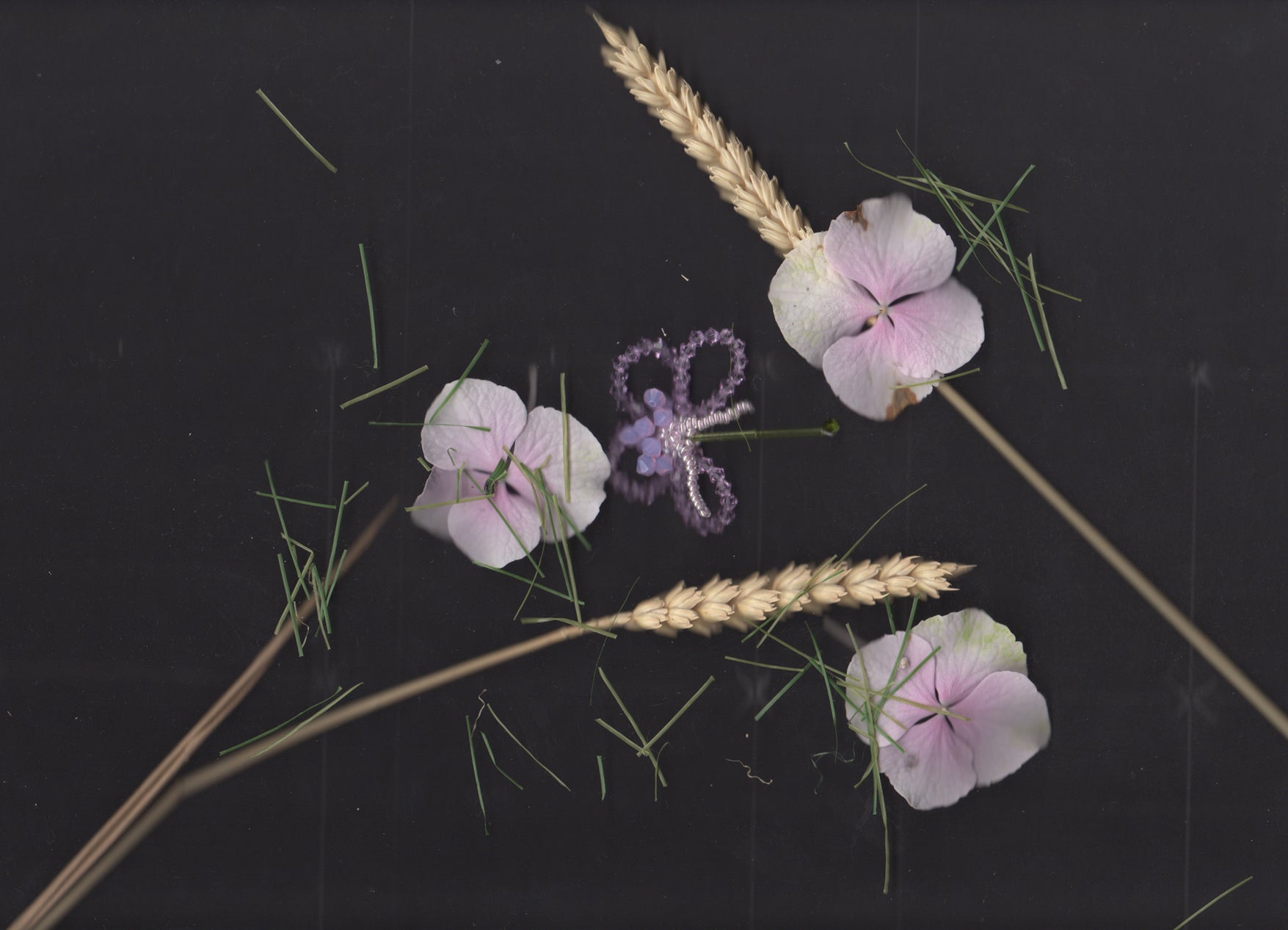 POWER FLOWER