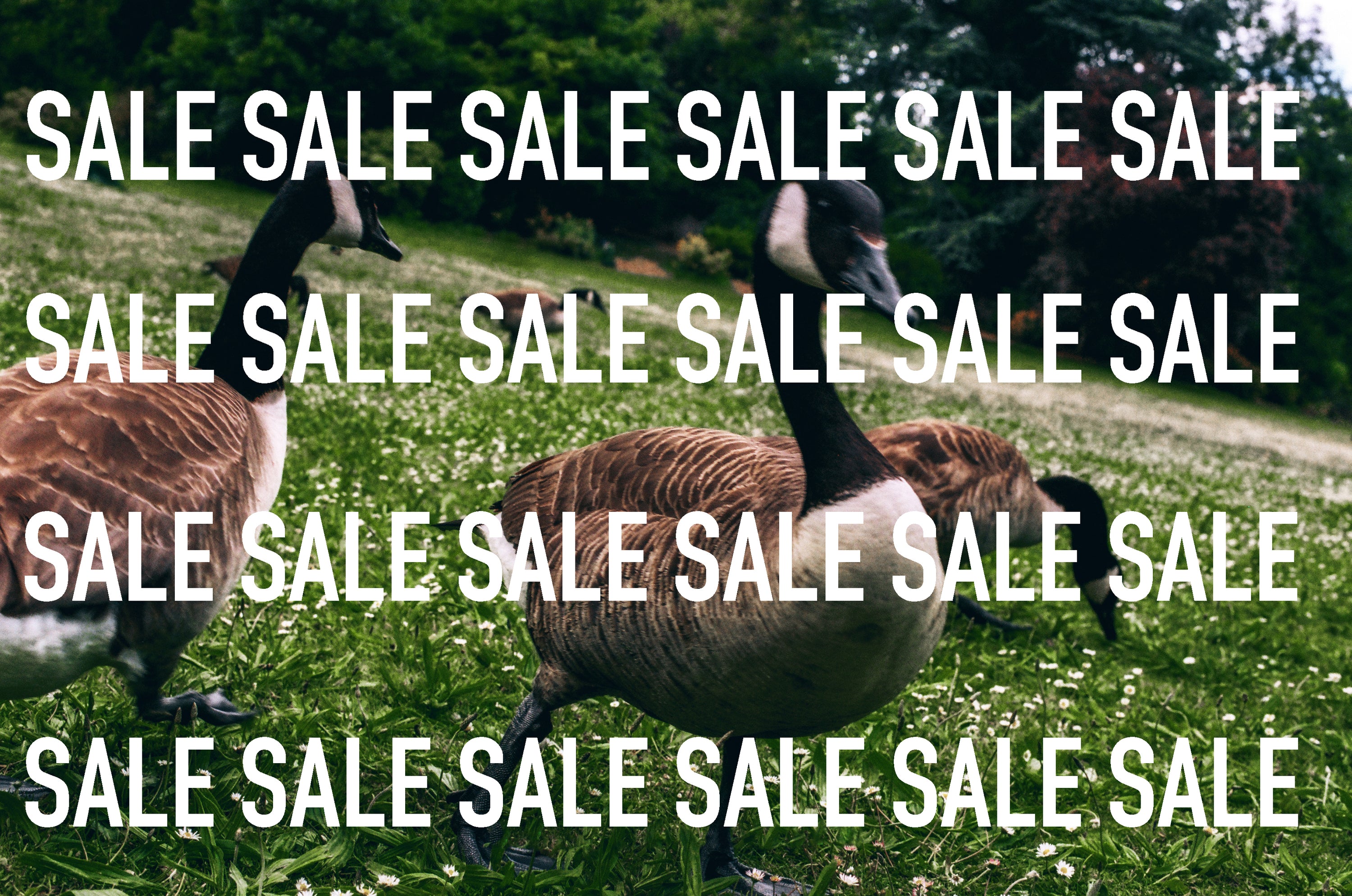 SALE 2023