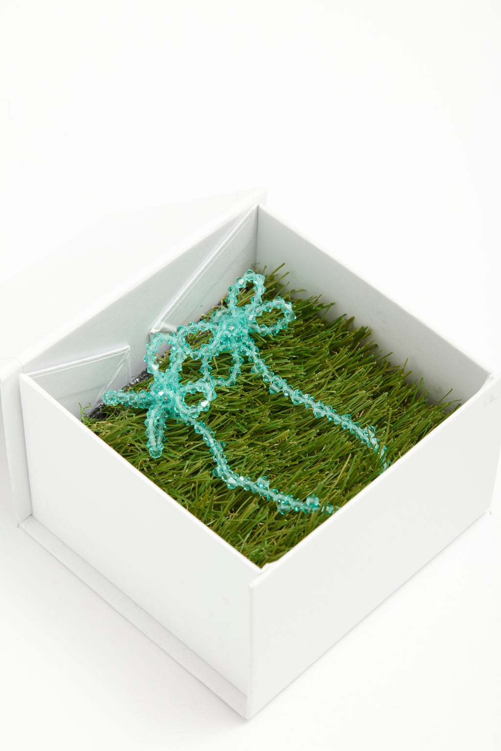 ALGA TURCOSA - Pair
