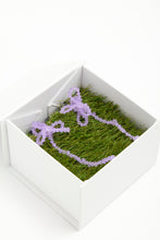 Load image into Gallery viewer, ALGA VIOLA - Pair
