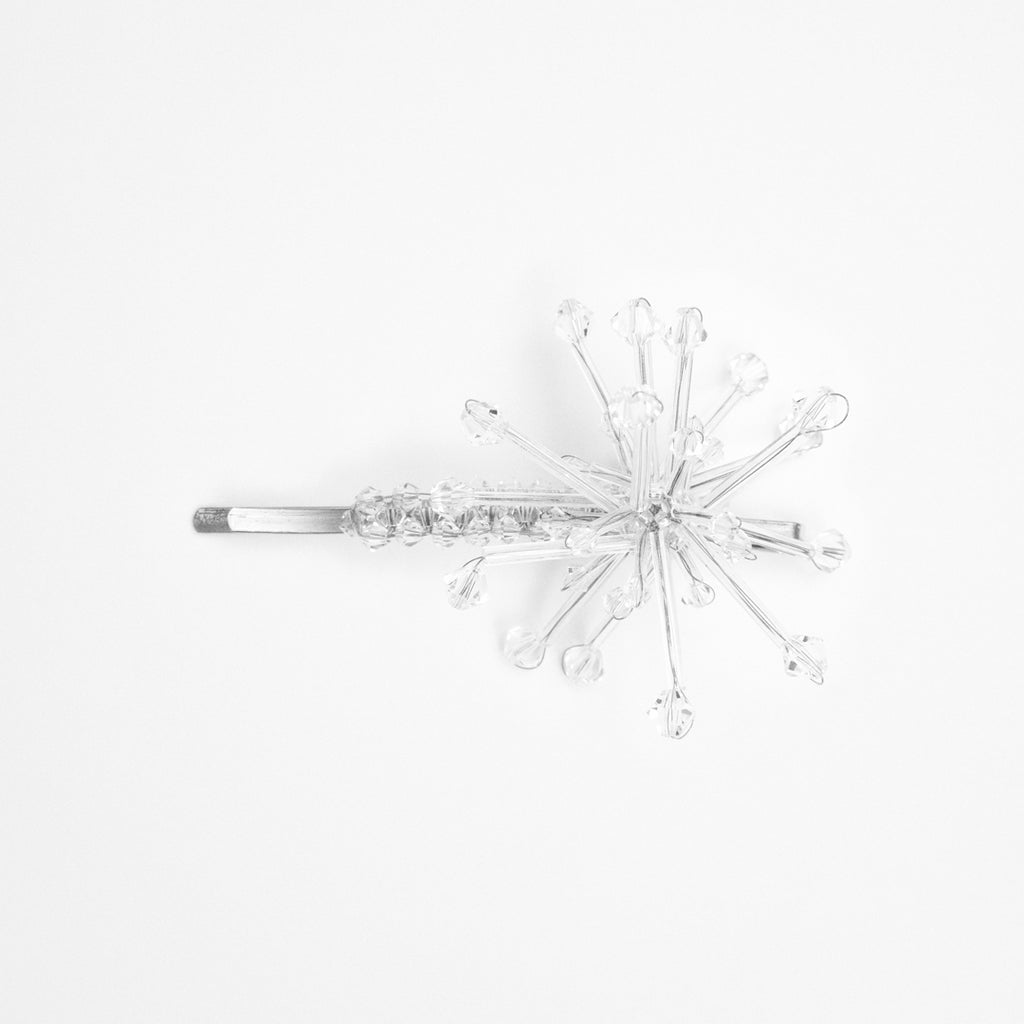 ALLIUM CEPA - BARRETTE