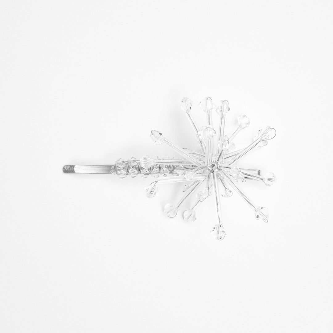 ALLIUM CEPA - BARRETTE