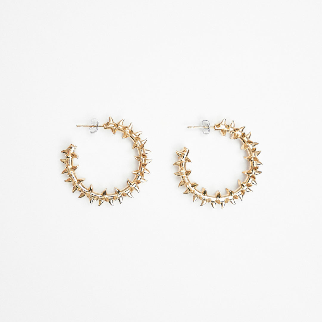 ARIDITY GOLD SPIKE LOOPS