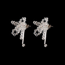 Load image into Gallery viewer, ASTER CHINENSIS SPECTRUM MINI STUD EARRINGS
