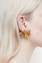 Load image into Gallery viewer, HIBISCUS CALX - Mini Pair

