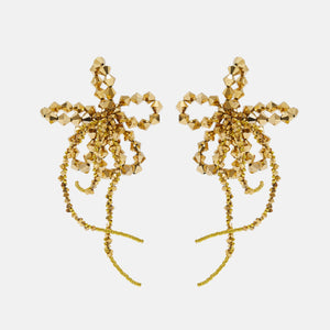 HIBISCUS AUREUM - Pair