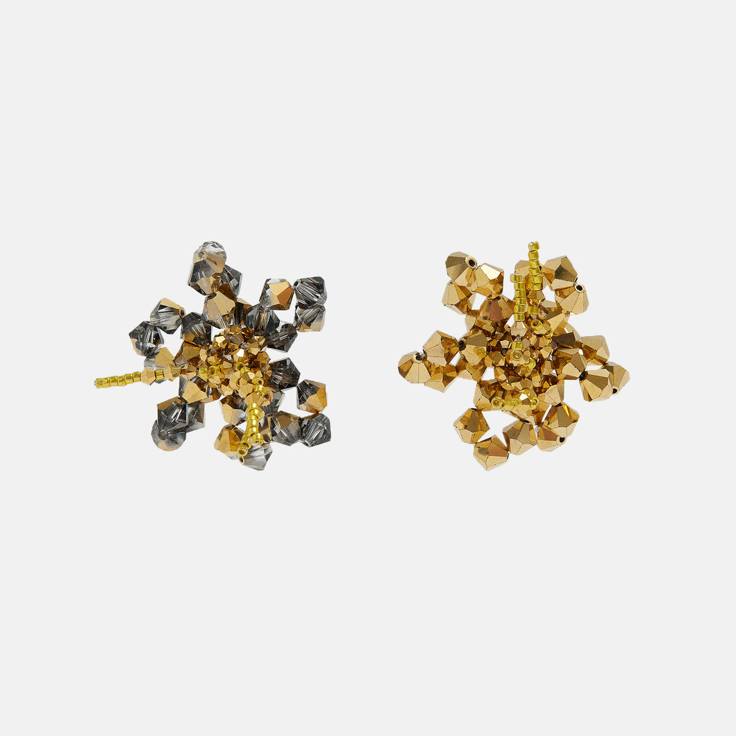 HIBISCUS CALX - Mini Pair