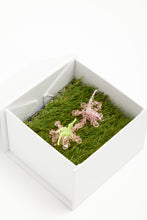 Load image into Gallery viewer, HIBISCUS ERATA - Mini Pair
