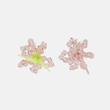 Load image into Gallery viewer, HIBISCUS ERATA - Mini Pair
