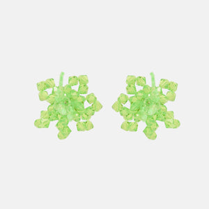 HIBISCUS LACERTA - Mini Pair