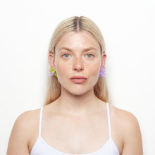 Load image into Gallery viewer, HIBISCUS NEREA - Mini Pair
