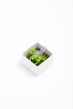 Load image into Gallery viewer, HIBISCUS NEREA - Ring
