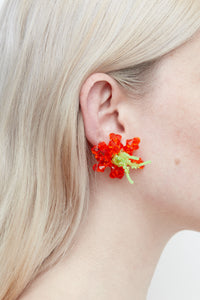 HIBISCUS OCEANUS - Minimus