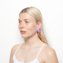Load image into Gallery viewer, HIBISCUS VIOLA - Minimus
