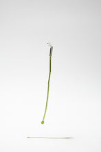 Load image into Gallery viewer, OENOTHERA RUBRUM STEM LOCKER SINGLE EARRING
