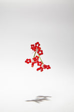 Load image into Gallery viewer, OENOTHERA RUBRUM STEM LOCKER SINGLE EARRING
