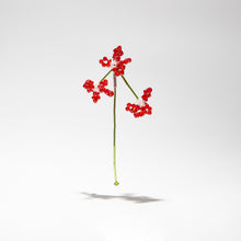 Load image into Gallery viewer, OENOTHERA RUBRUM STEM LOCKER SINGLE EARRING
